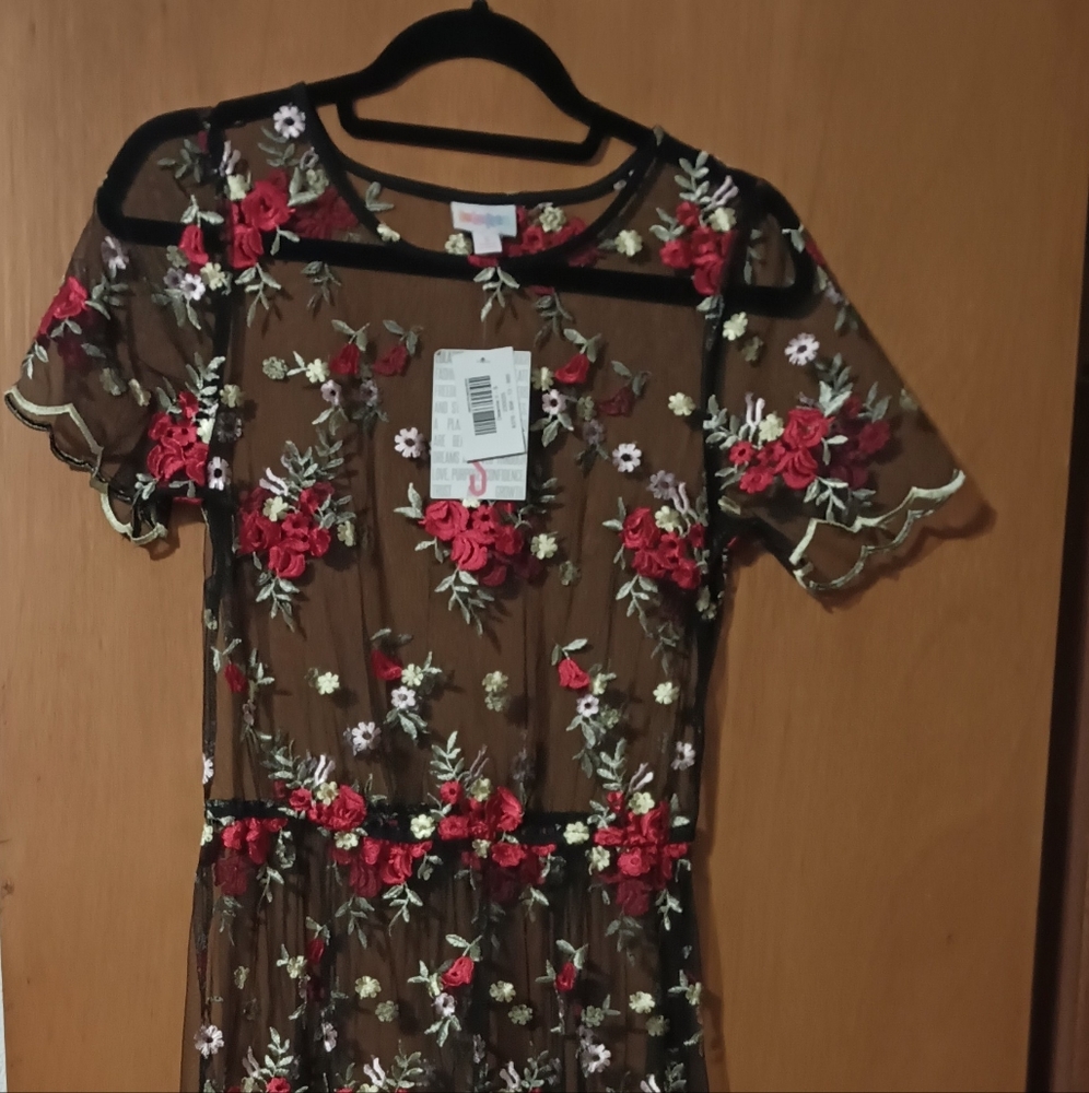 LuLaRoe Dianne dress